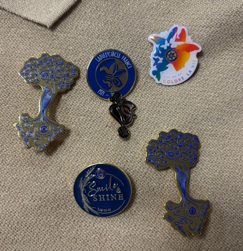 LOT PIN'S SPECIAL AGM2026